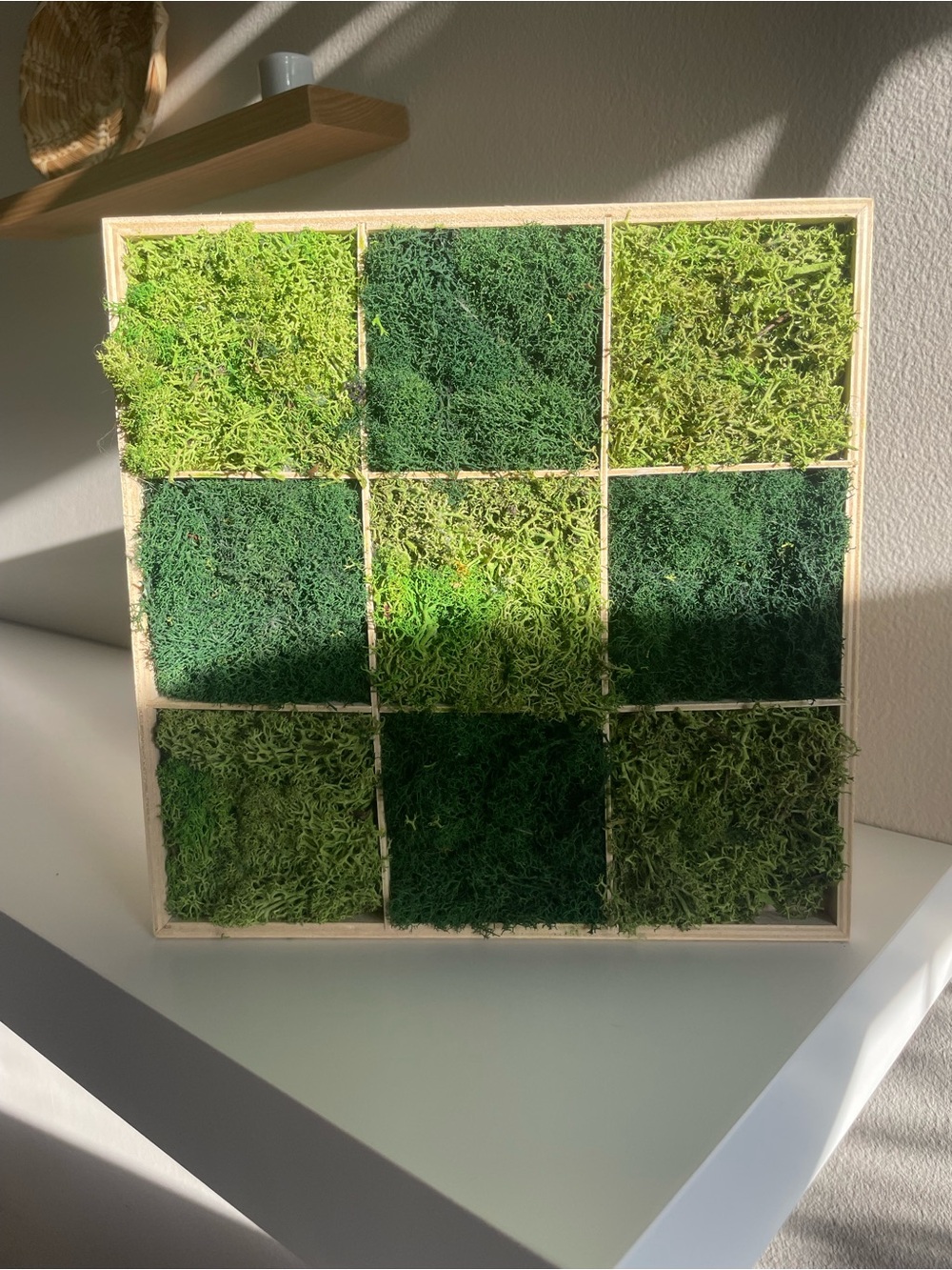 Framed Preserved Moss Wall Art - Green Tones